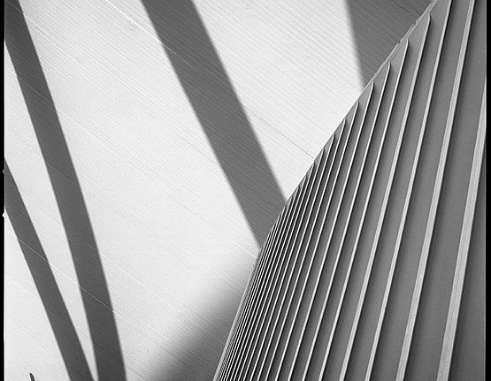 Панно и фотообои JWall One WJE00891