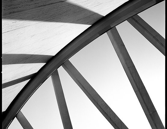 Панно и фотообои JWall One WJE00901