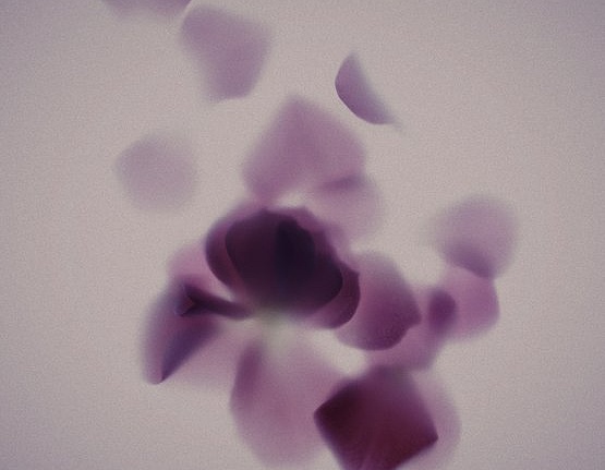 Панно и фотообои JWall One WJE00942