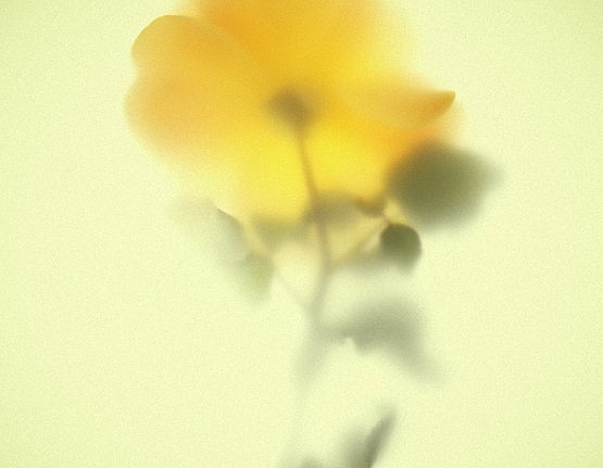 Панно и фотообои JWall One WJE00951