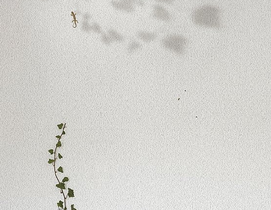 Панно и фотообои JWall One WJE01091