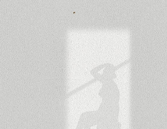 Панно и фотообои JWall One WJE01111