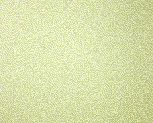 Обои Osborne & Little Wallpaper Album VII W6491-05