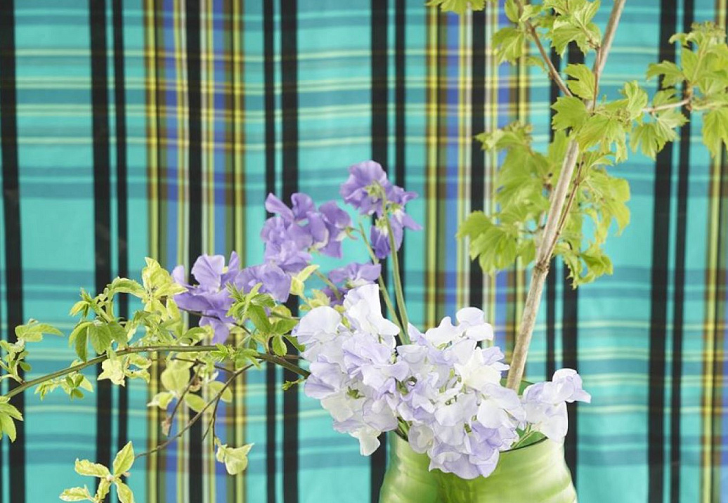 Ткань Designers Guild Chennai FDG3012/02