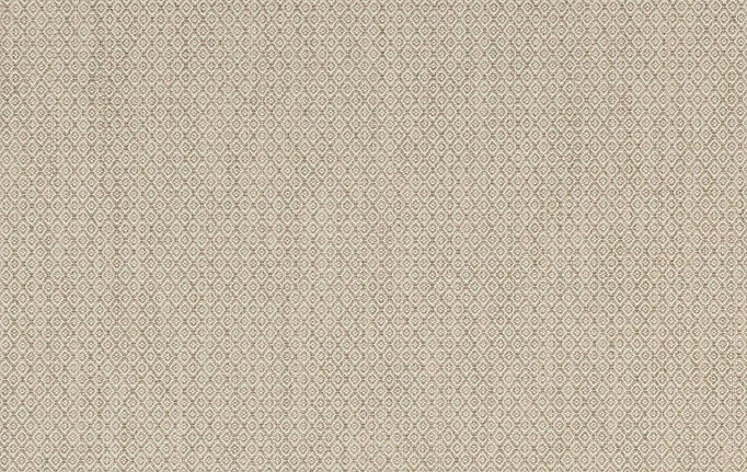 Английская ткань Colefax and Fowler, коллекция Colour Library Ivory, артикул F3926/03