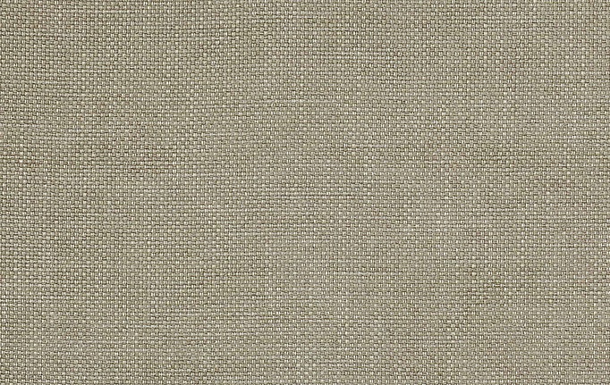 Английская ткань Colefax and Fowler, коллекция Colour Library Natural, артикул F3831/03