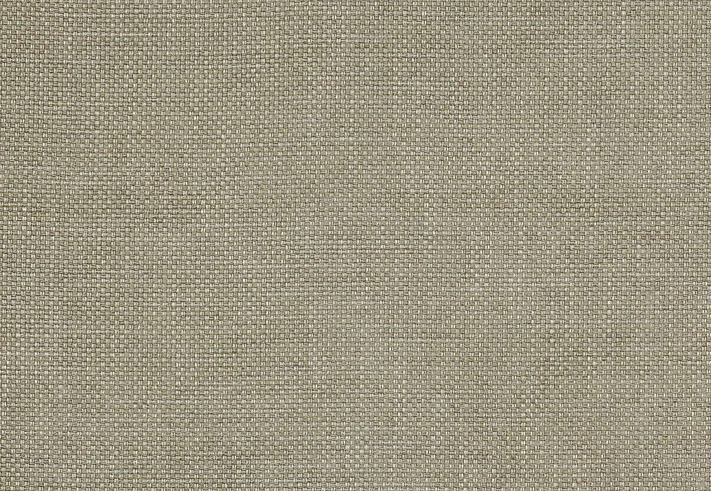 Ткань Colefax and Fowler Colour Library Natural F3831/03