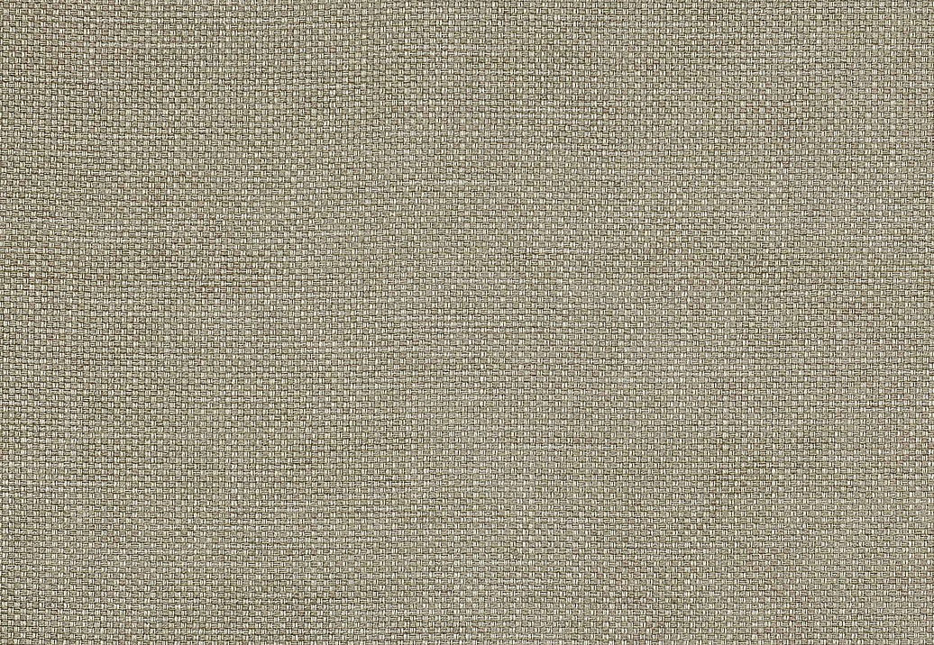 Ткань Colefax and Fowler Colour Library Natural F3831/03