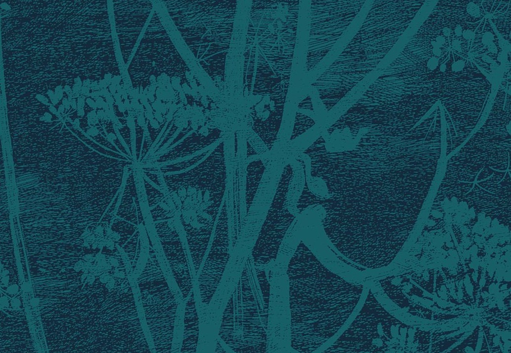 Ткань Cole & Son The Contemporary Collection F111/5015