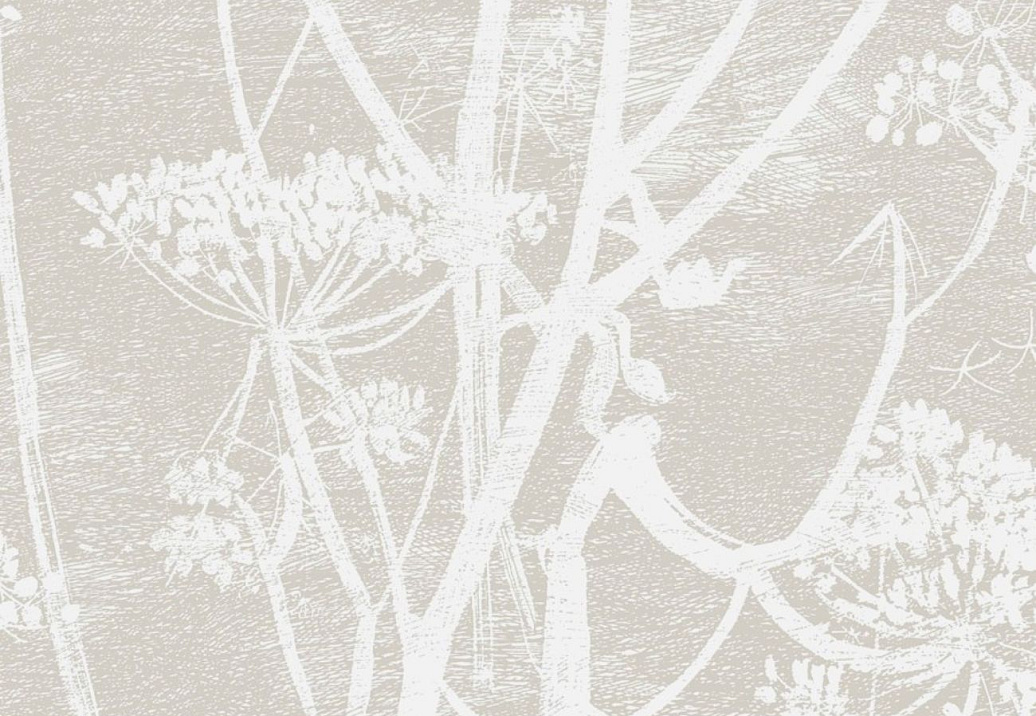 Ткань Cole & Son The Contemporary Collection F111/5019