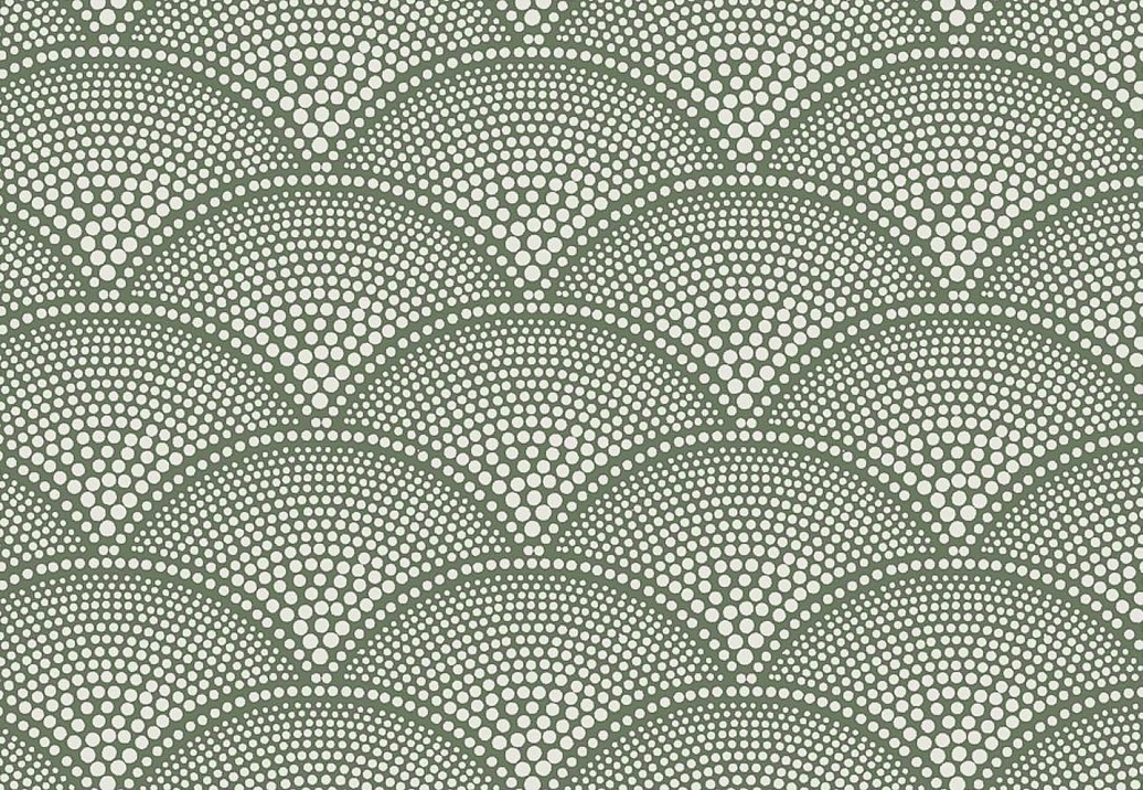 Ткань Cole & Son The Contemporary Collection F111/8029