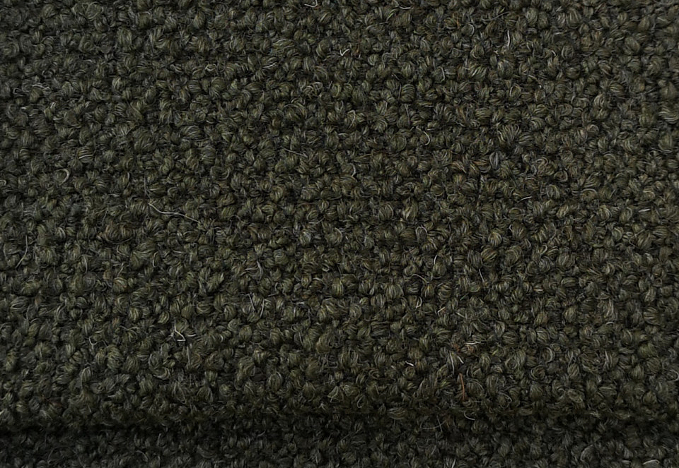 Ткань Bisson Bruneel Monza Monza-55