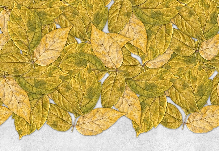 Панно и фотообои ID Wall Botanica ID048005