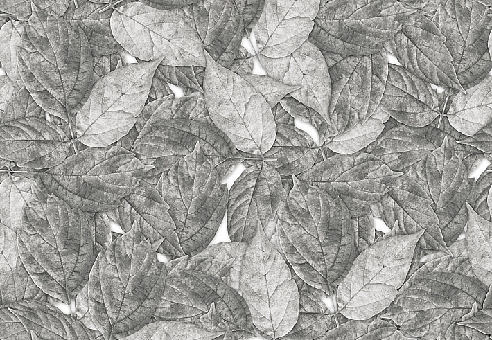 Панно и фотообои ID Wall Botanica ID048009