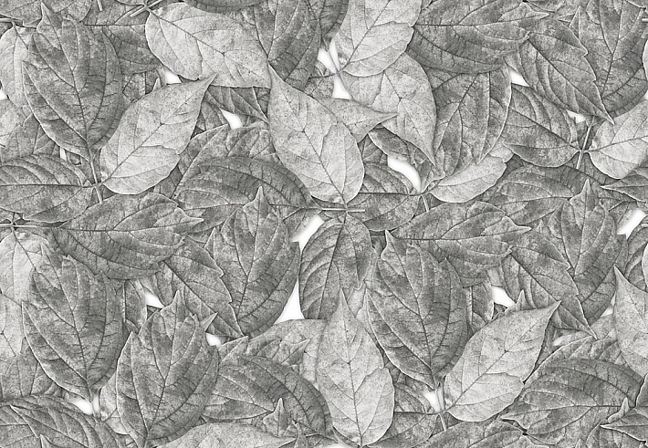 Панно и фотообои ID Wall Botanica ID048009