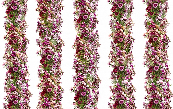 Российские панно и фотообои ID Wall, коллекция Botanica, артикул ID048012