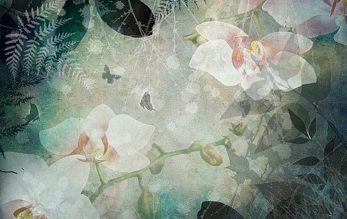 Российские панно и фотообои ID Wall, коллекция Botanica, артикул ID048015