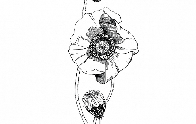 Российские панно и фотообои ID Wall, коллекция Botanica, артикул ID048021