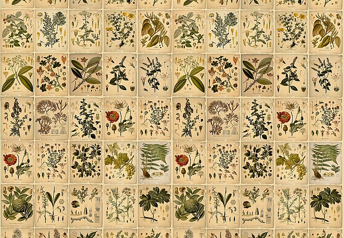 Панно и фотообои ID Wall Botanica ID048023