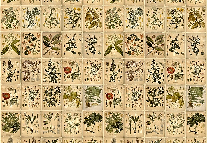 Панно и фотообои ID Wall Botanica ID048023