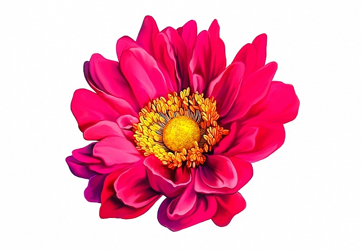 Панно и фотообои ID Wall Botanica ID048027