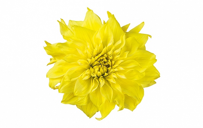 Российские панно и фотообои ID Wall, коллекция Botanica, артикул ID048028