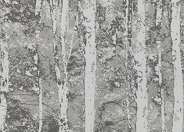 Обои Collection For Walls Modern I 202401