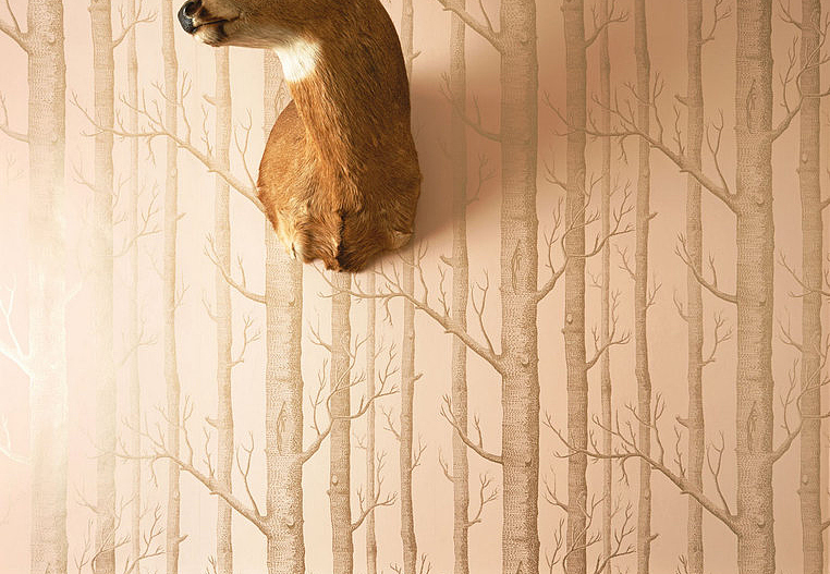 Обои Cole & Son Whimsical 103/5024