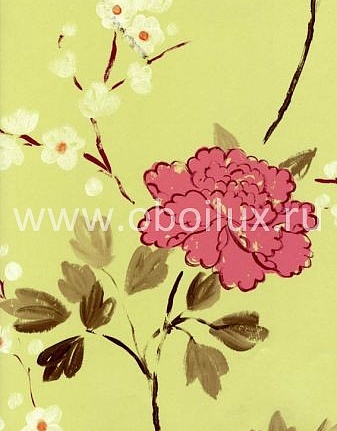 Обои Designers Guild Cloisonne P461/02