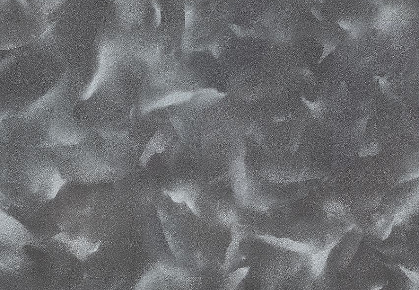 Панно и фотообои Loymina Illusion DM-030