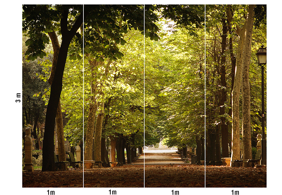 Панно и фотообои Loymina Illusion DS-012