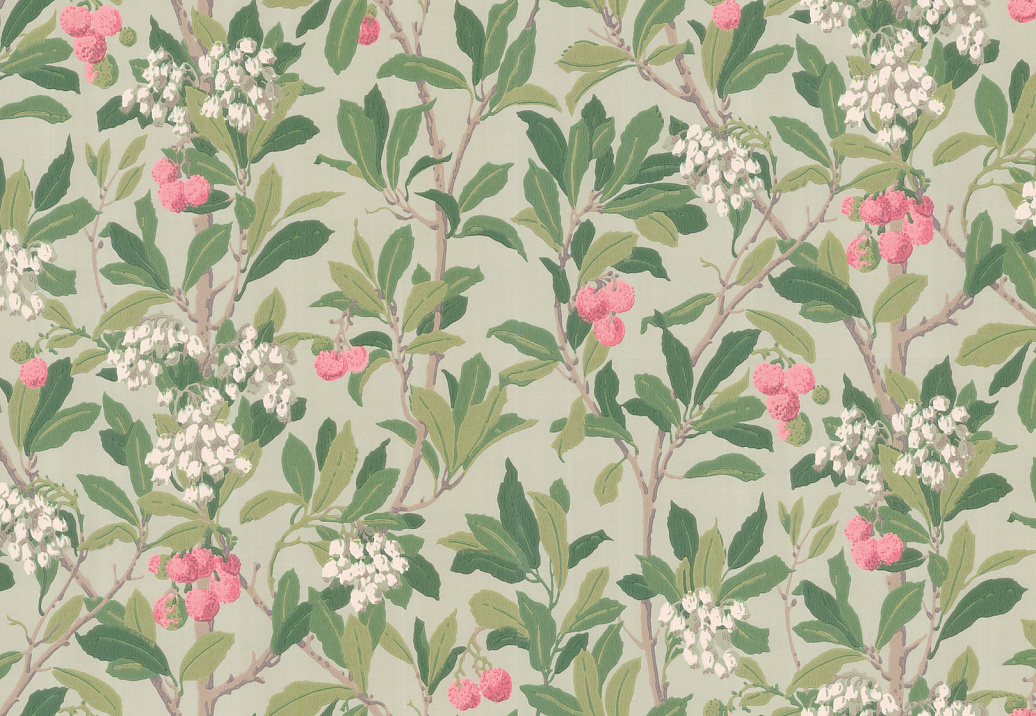 Обои Cole & Son Archive Anthology 100/10048