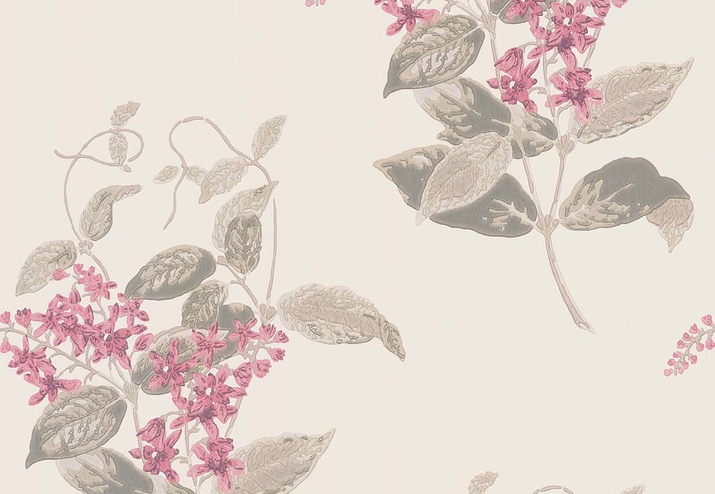 Обои Cole & Son Archive Anthology 100/12058