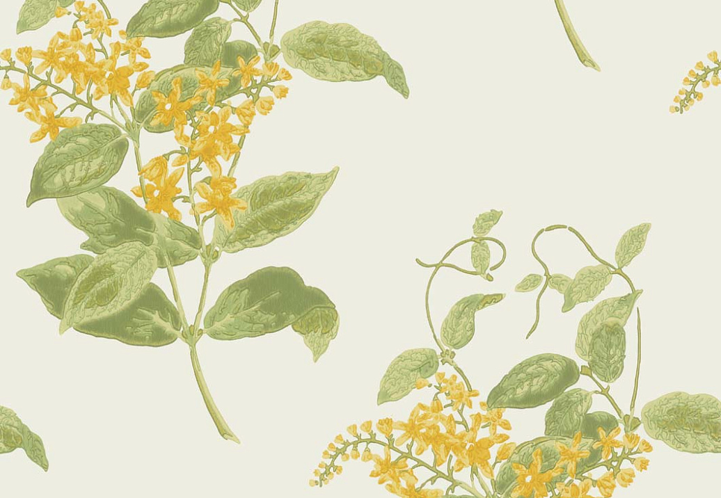Обои Cole & Son Archive Anthology 100/12059