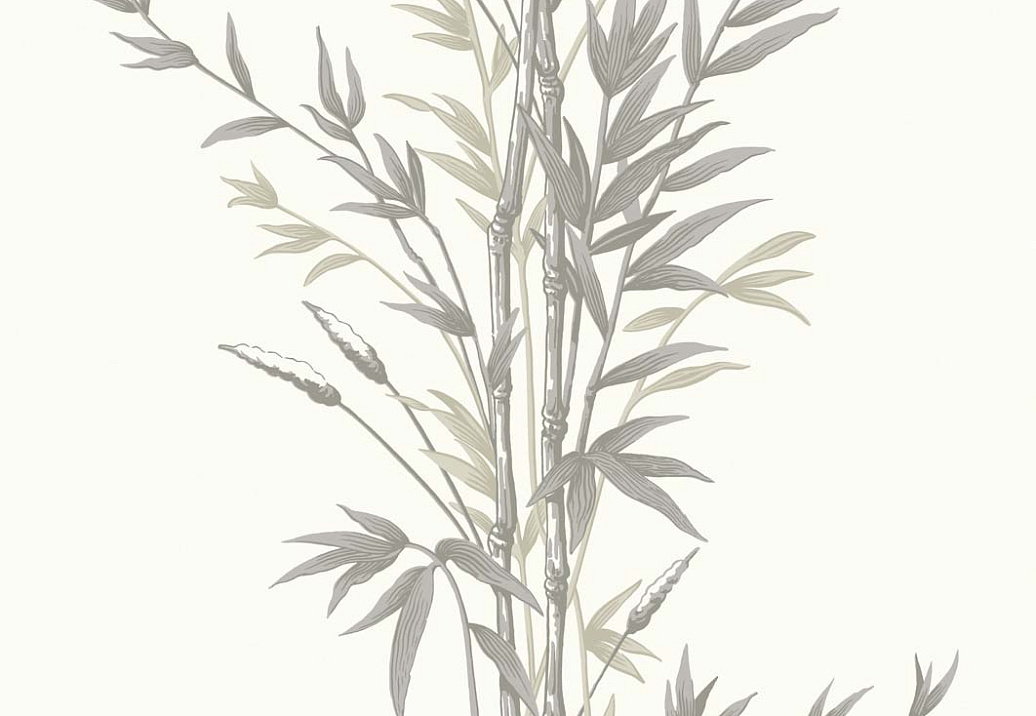 Обои Cole & Son Archive Anthology 100/5025