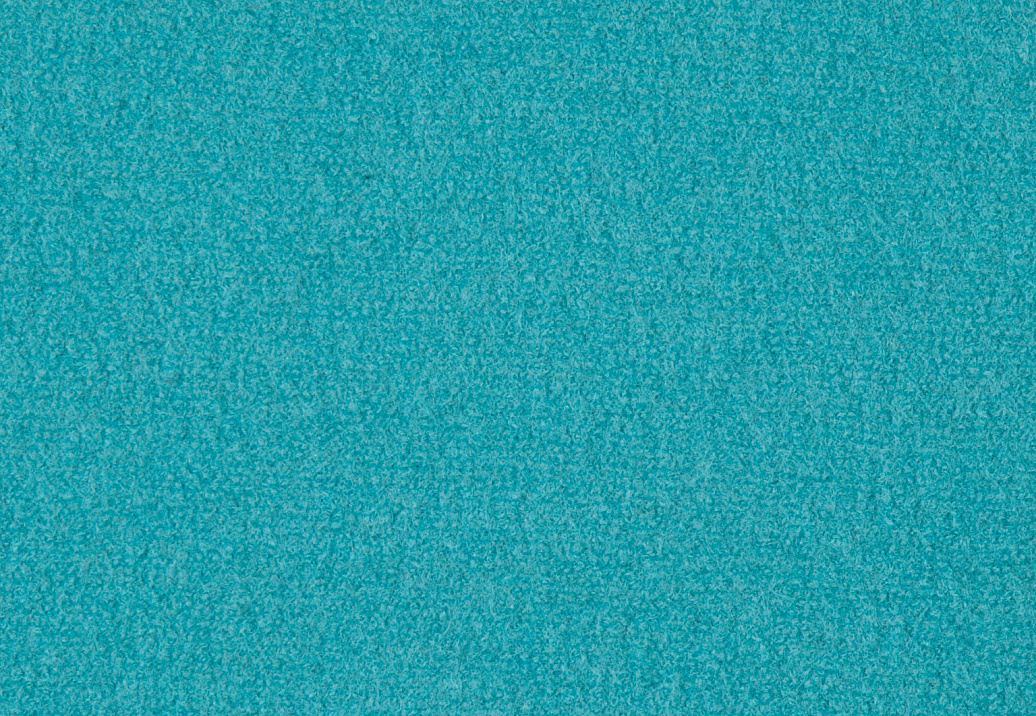 Ткань Holland & Sherry Boiled Wool DE11807