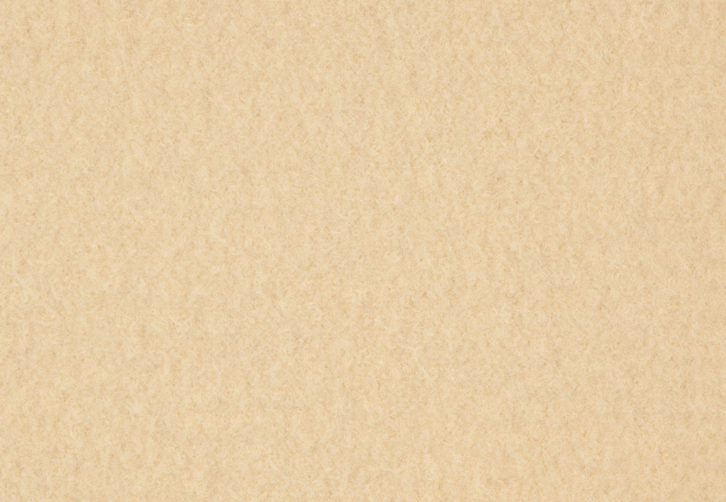 Ткань Holland & Sherry Boiled Wool DE10751