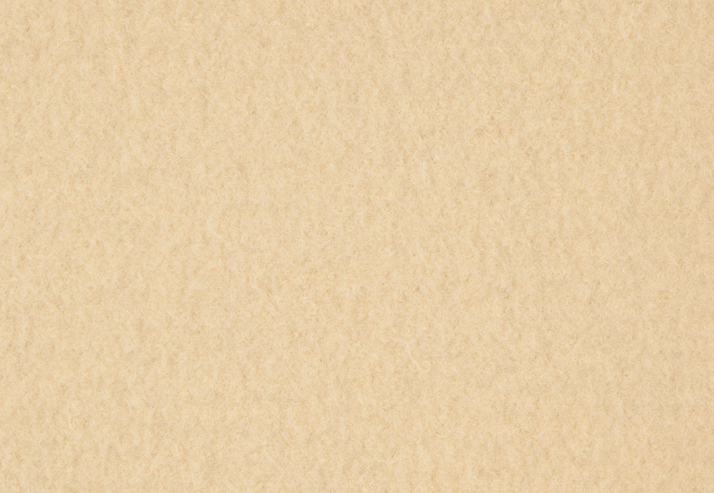 Ткань Holland & Sherry Boiled Wool DE10751