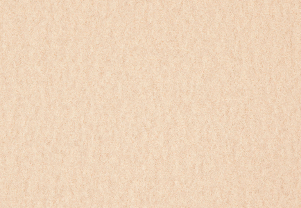 Ткань Holland & Sherry Boiled Wool DE10108