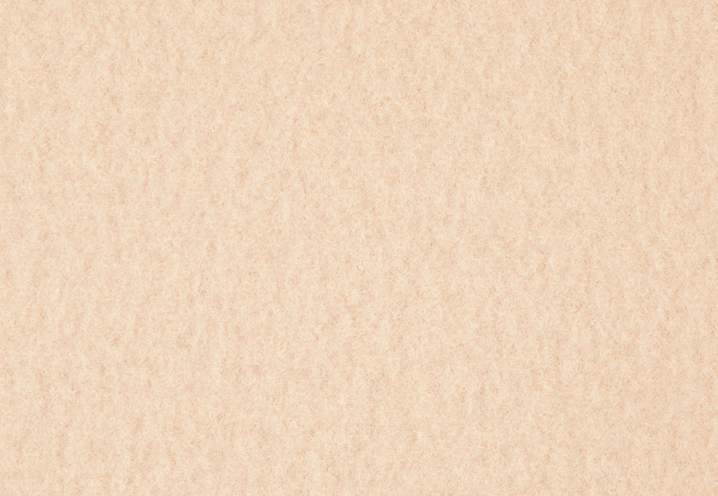 Ткань Holland & Sherry Boiled Wool DE10108