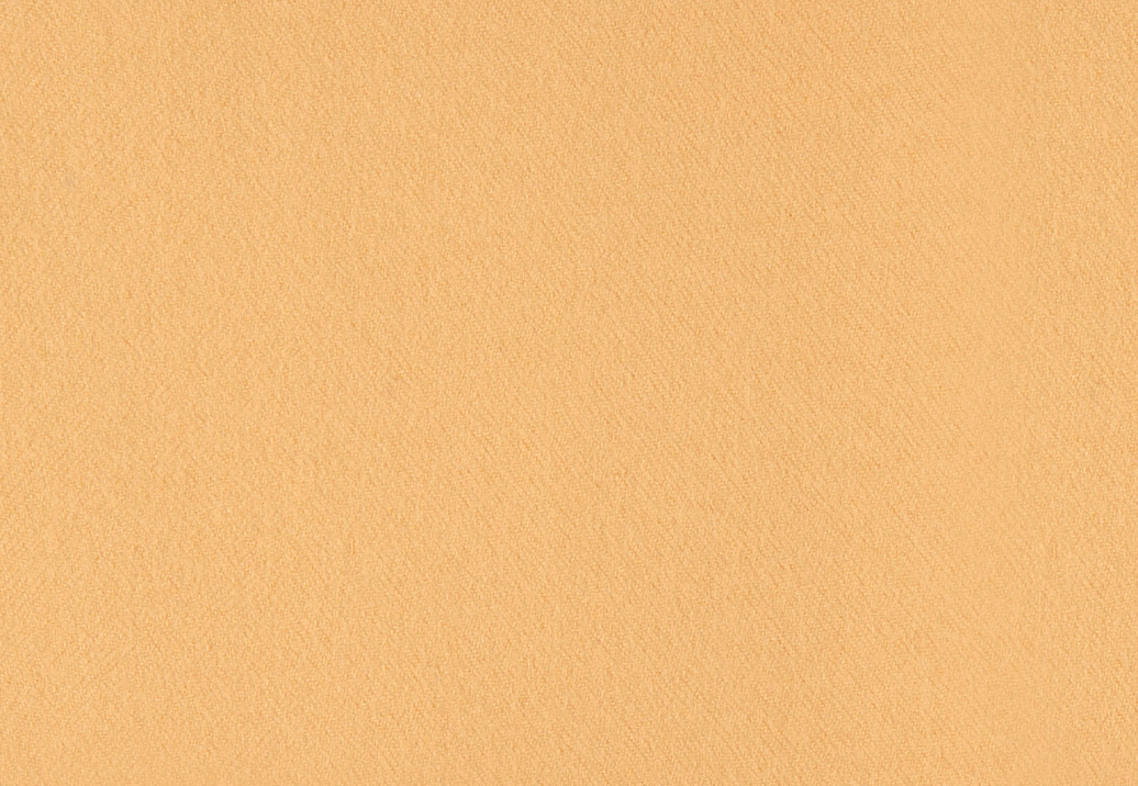 Ткань Holland & Sherry Wool Felt DE11956
