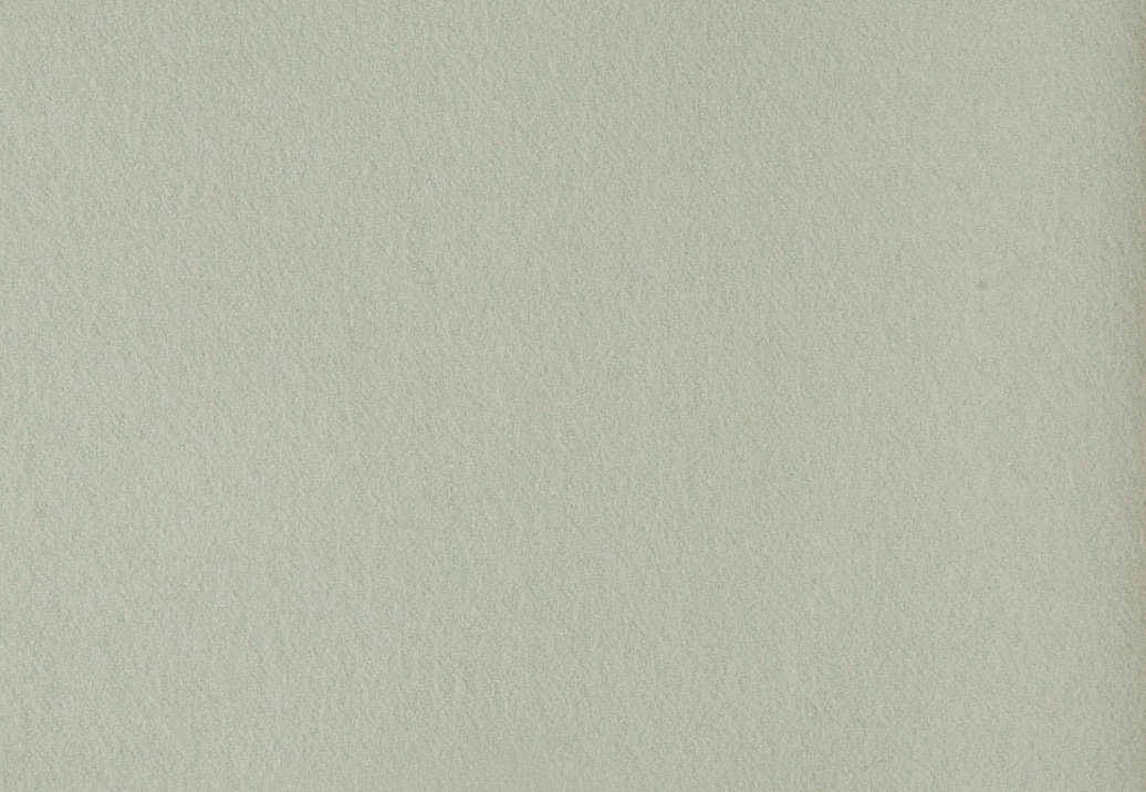 Ткань Holland & Sherry Wool Felt DE11967