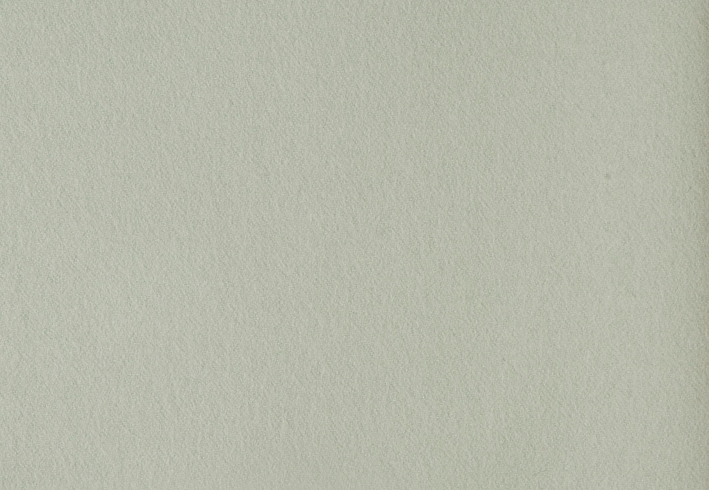 Ткань Holland & Sherry Wool Felt DE11967