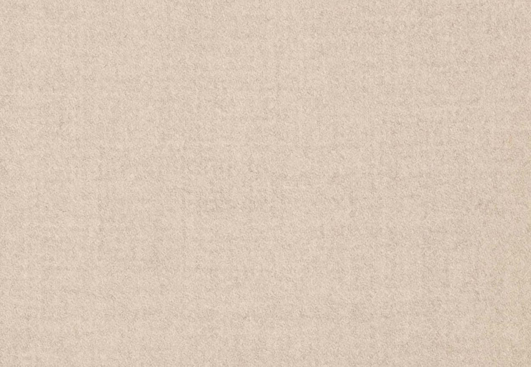 Ткань Holland & Sherry Heavy Melange Wool Flannel DE12812