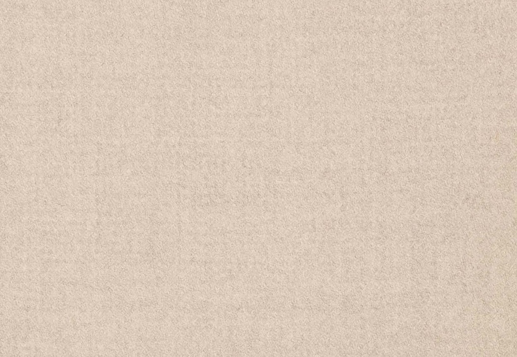 Ткань Holland & Sherry Heavy Melange Wool Flannel DE12812
