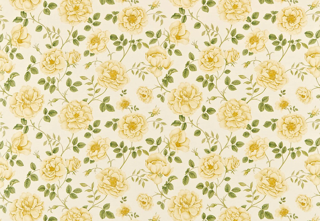 Ткань Sanderson A Painter's Garden DAPGRO202