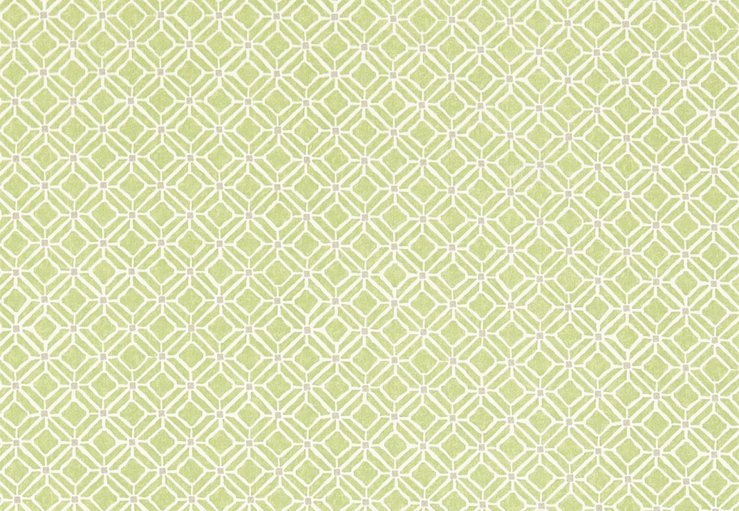 Ткань Sanderson Chika Prints 223592