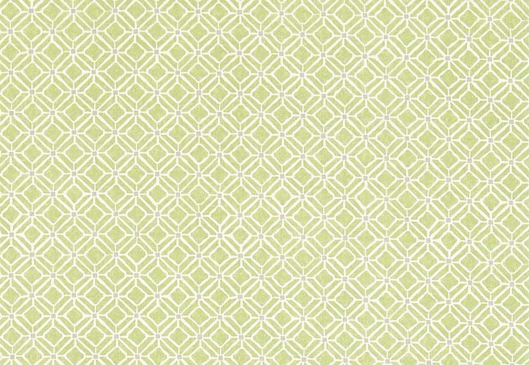 Ткань Sanderson Chika Prints 223592