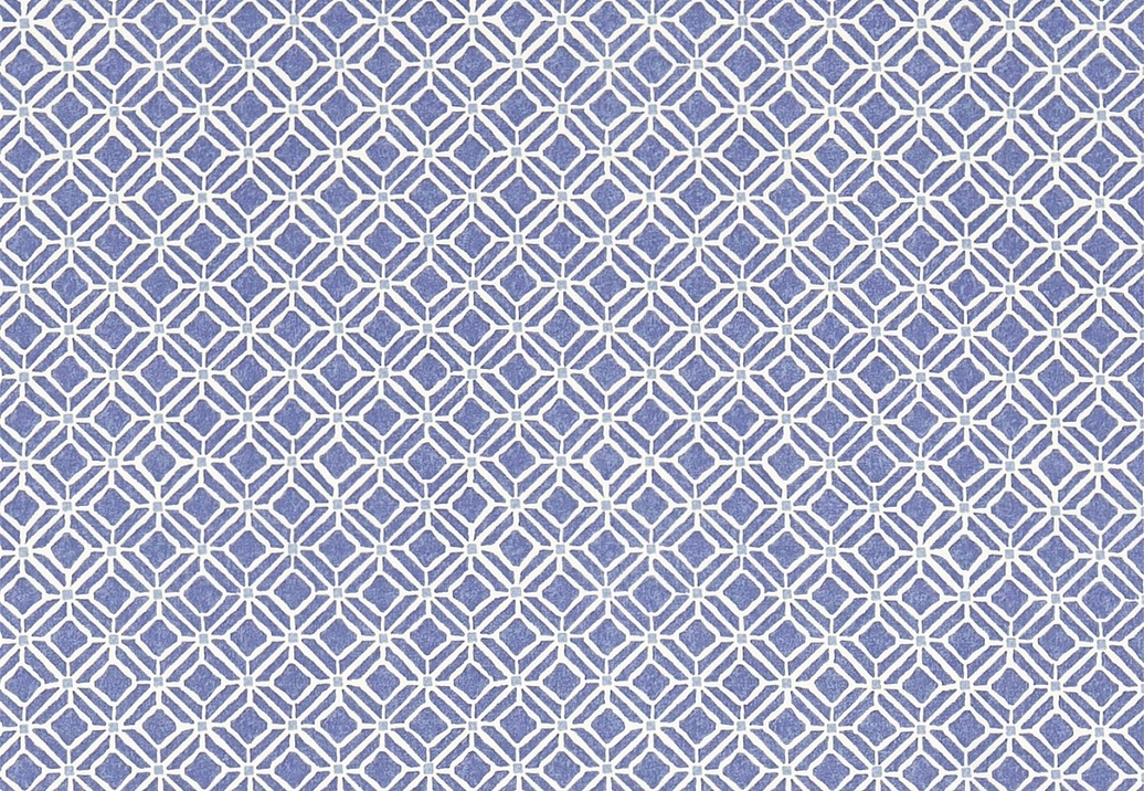 Ткань Sanderson Chika Prints 223590
