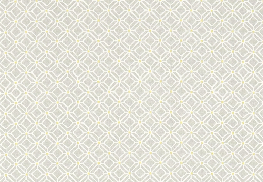 Ткань Sanderson Chika Prints 223589